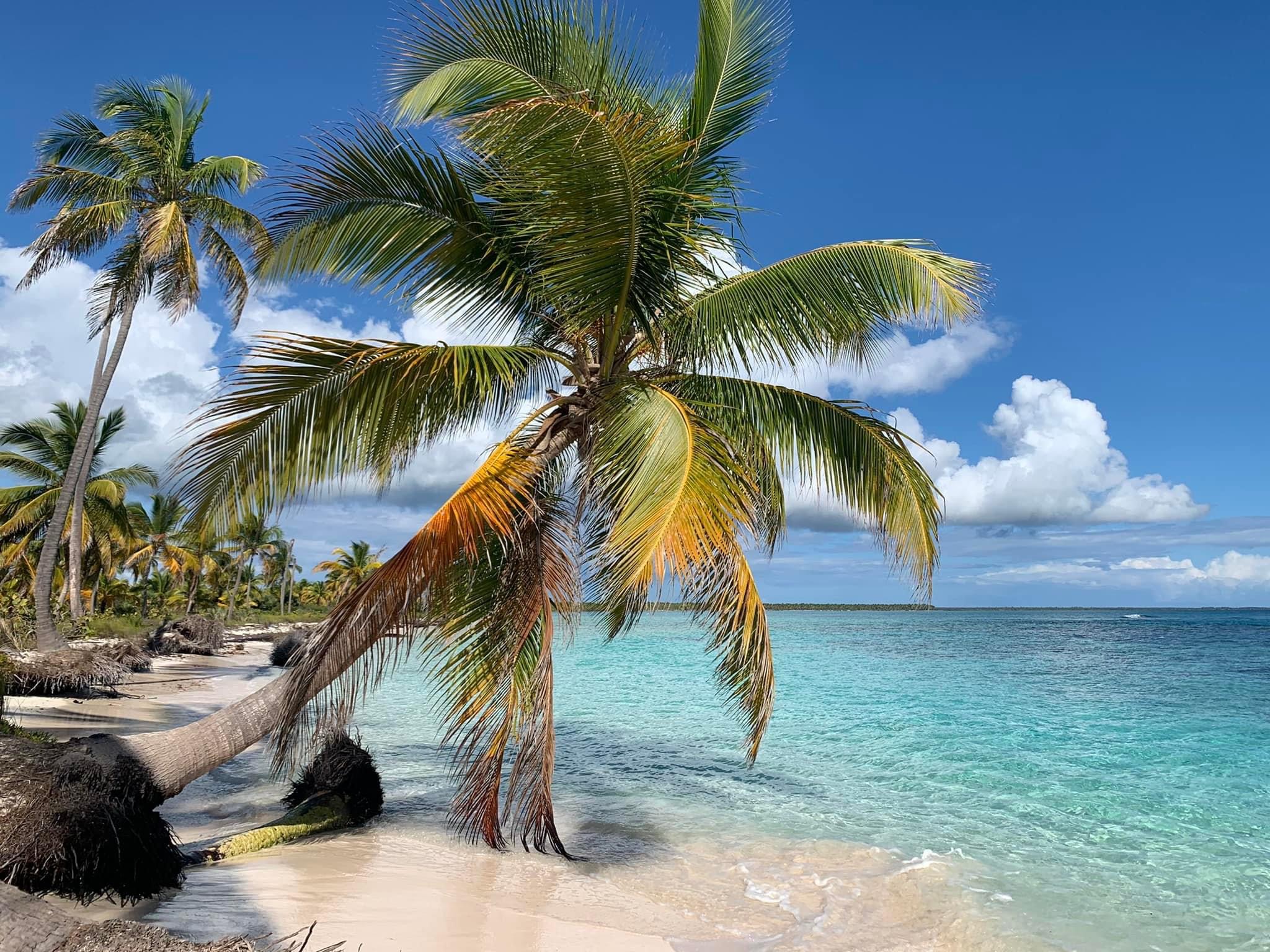 Saona island VIP excursions 