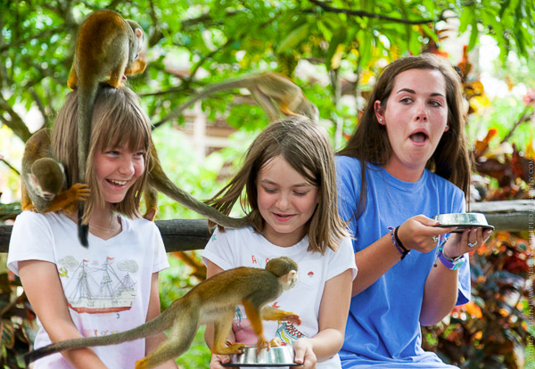 ziplinemonkeylandcombo