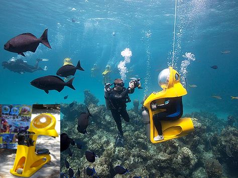 ScoobaDoo Snorkeling